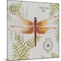 JP3419-Botanical Dragonfly-Jean Plout-Mounted Giclee Print