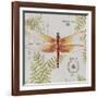 JP3419-Botanical Dragonfly-Jean Plout-Framed Giclee Print