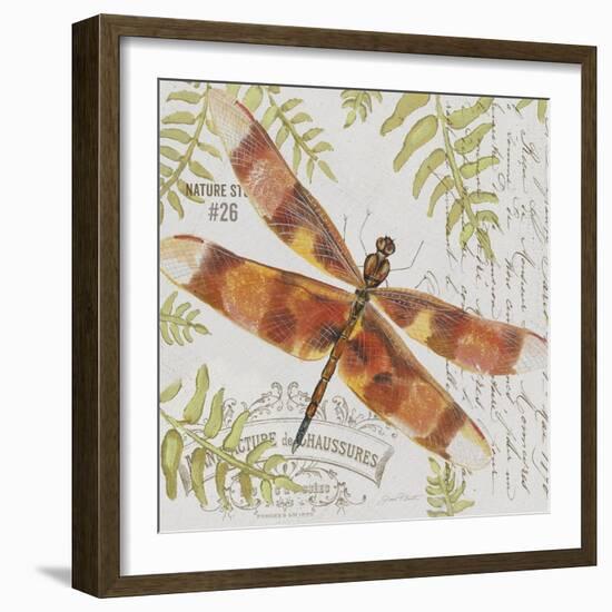 JP3420-Botanical Dragonfly-Jean Plout-Framed Giclee Print