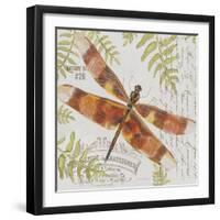 JP3420-Botanical Dragonfly-Jean Plout-Framed Giclee Print