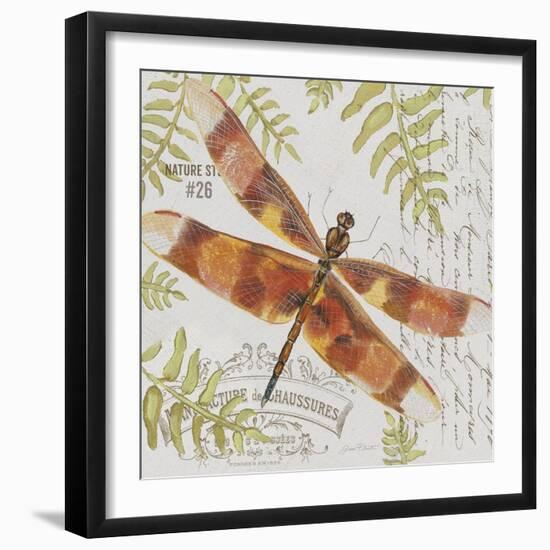 JP3420-Botanical Dragonfly-Jean Plout-Framed Giclee Print