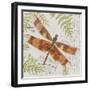 JP3420-Botanical Dragonfly-Jean Plout-Framed Giclee Print