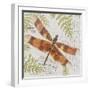 JP3420-Botanical Dragonfly-Jean Plout-Framed Giclee Print
