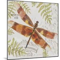 JP3420-Botanical Dragonfly-Jean Plout-Mounted Giclee Print