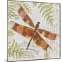 JP3420-Botanical Dragonfly-Jean Plout-Mounted Giclee Print