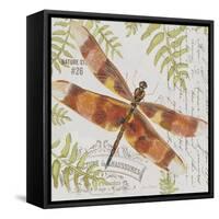 JP3420-Botanical Dragonfly-Jean Plout-Framed Stretched Canvas