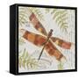 JP3420-Botanical Dragonfly-Jean Plout-Framed Stretched Canvas