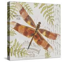 JP3420-Botanical Dragonfly-Jean Plout-Stretched Canvas