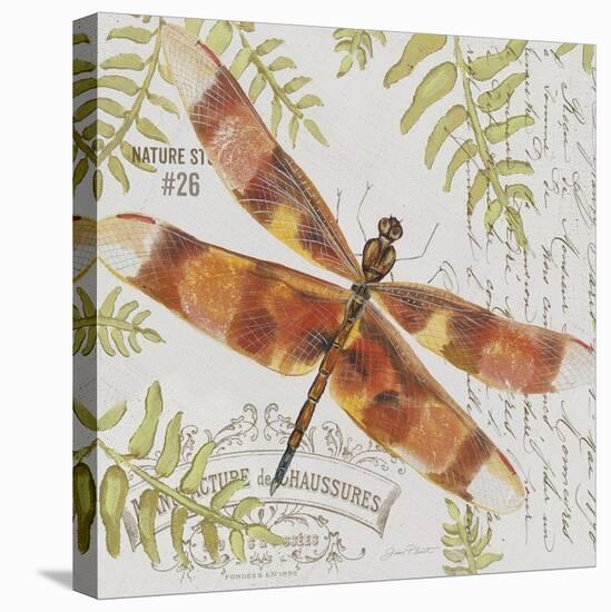 JP3420-Botanical Dragonfly-Jean Plout-Stretched Canvas