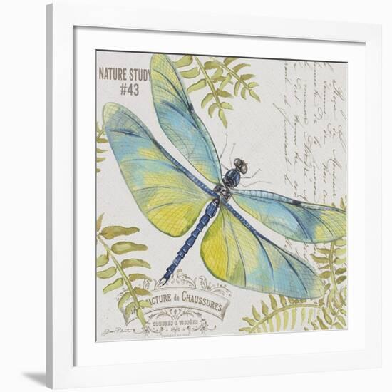 JP3423-B-Botanical Dragonfly-Jean Plout-Framed Giclee Print