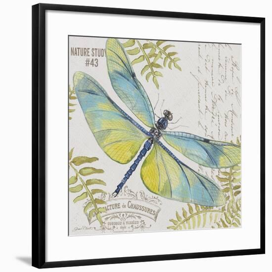 JP3423-B-Botanical Dragonfly-Jean Plout-Framed Giclee Print