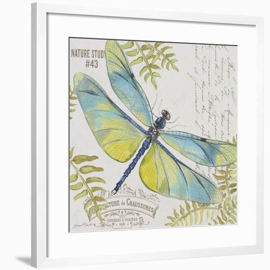 JP3423-B-Botanical Dragonfly-Jean Plout-Framed Giclee Print