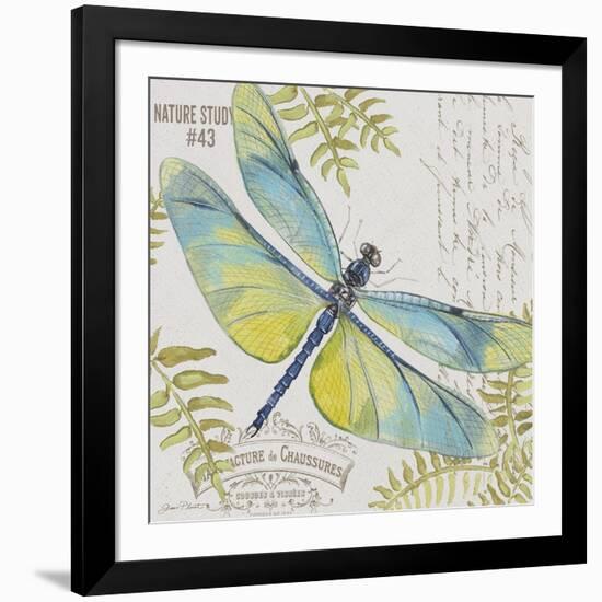 JP3423-B-Botanical Dragonfly-Jean Plout-Framed Giclee Print