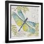 JP3423-B-Botanical Dragonfly-Jean Plout-Framed Giclee Print