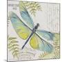 JP3423-B-Botanical Dragonfly-Jean Plout-Mounted Giclee Print