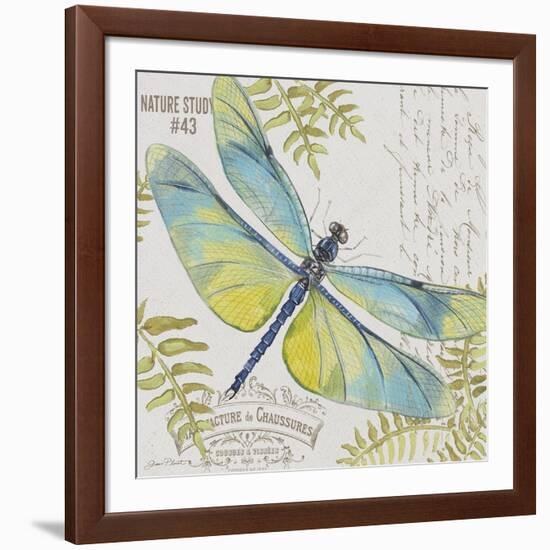 JP3423-B-Botanical Dragonfly-Jean Plout-Framed Giclee Print