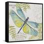 JP3423-B-Botanical Dragonfly-Jean Plout-Framed Stretched Canvas