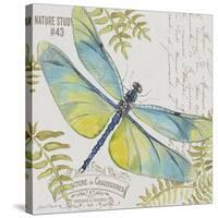 JP3423-B-Botanical Dragonfly-Jean Plout-Stretched Canvas