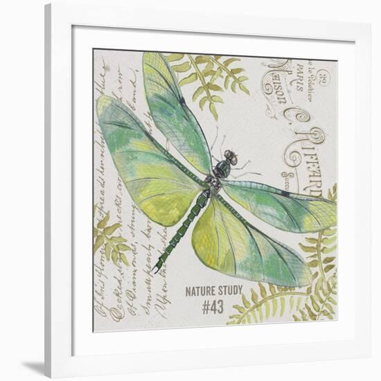 JP3424-B-Botanical Dragonfly-Jean Plout-Framed Giclee Print