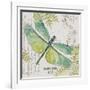 JP3424-B-Botanical Dragonfly-Jean Plout-Framed Giclee Print