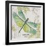 JP3424-B-Botanical Dragonfly-Jean Plout-Framed Giclee Print