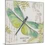 JP3424-B-Botanical Dragonfly-Jean Plout-Mounted Giclee Print