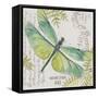 JP3424-B-Botanical Dragonfly-Jean Plout-Framed Stretched Canvas