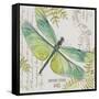JP3424-B-Botanical Dragonfly-Jean Plout-Framed Stretched Canvas