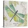 JP3424-B-Botanical Dragonfly-Jean Plout-Stretched Canvas