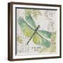 JP3424-B-Botanical Dragonfly-Jean Plout-Framed Giclee Print