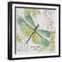 JP3424-B-Botanical Dragonfly-Jean Plout-Framed Giclee Print