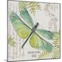 JP3424-B-Botanical Dragonfly-Jean Plout-Mounted Giclee Print