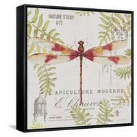 JP3425-Botanical Dragonfly-Jean Plout-Framed Stretched Canvas