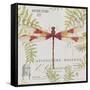 JP3425-Botanical Dragonfly-Jean Plout-Framed Stretched Canvas