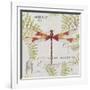 JP3425-Botanical Dragonfly-Jean Plout-Framed Giclee Print