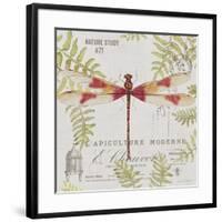 JP3425-Botanical Dragonfly-Jean Plout-Framed Giclee Print