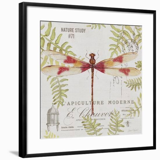 JP3425-Botanical Dragonfly-Jean Plout-Framed Giclee Print