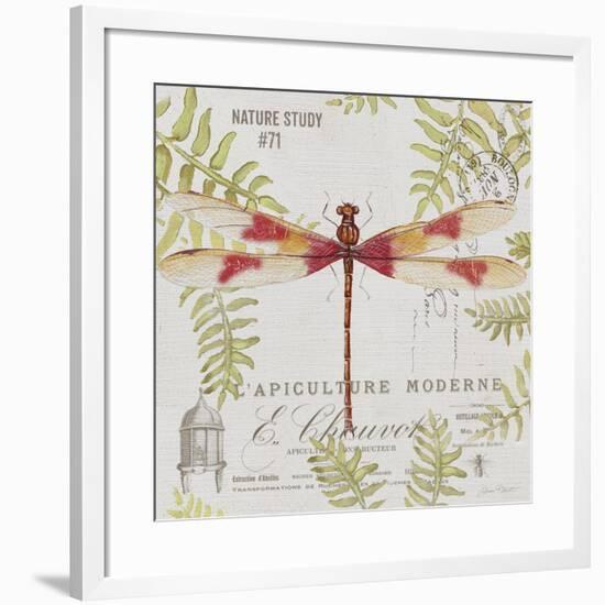 JP3425-Botanical Dragonfly-Jean Plout-Framed Giclee Print