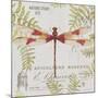 JP3425-Botanical Dragonfly-Jean Plout-Mounted Giclee Print