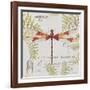 JP3425-Botanical Dragonfly-Jean Plout-Framed Giclee Print