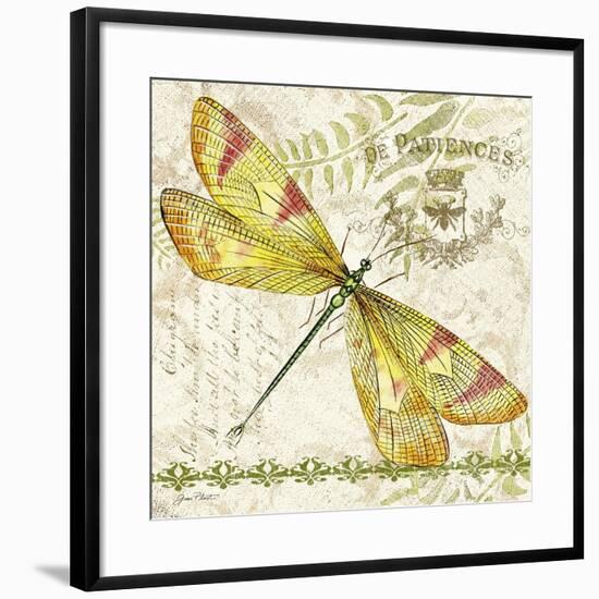 JP3429-Dragonfly Daydreams-Jean Plout-Framed Giclee Print