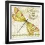 JP3429-Dragonfly Daydreams-Jean Plout-Framed Giclee Print