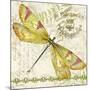 JP3429-Dragonfly Daydreams-Jean Plout-Mounted Giclee Print