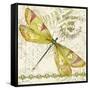 JP3429-Dragonfly Daydreams-Jean Plout-Framed Stretched Canvas