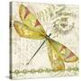 JP3429-Dragonfly Daydreams-Jean Plout-Stretched Canvas