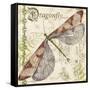 JP3431-Dragonfly Daydreams-Jean Plout-Framed Stretched Canvas