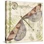 JP3431-Dragonfly Daydreams-Jean Plout-Stretched Canvas