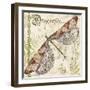 JP3431-Dragonfly Daydreams-Jean Plout-Framed Giclee Print