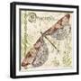 JP3431-Dragonfly Daydreams-Jean Plout-Framed Giclee Print