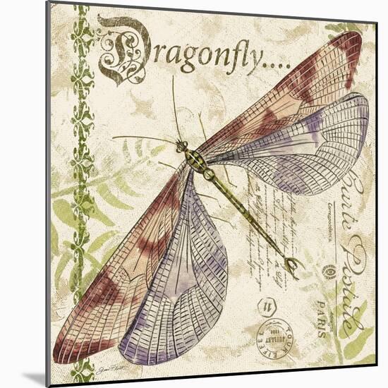 JP3431-Dragonfly Daydreams-Jean Plout-Mounted Giclee Print